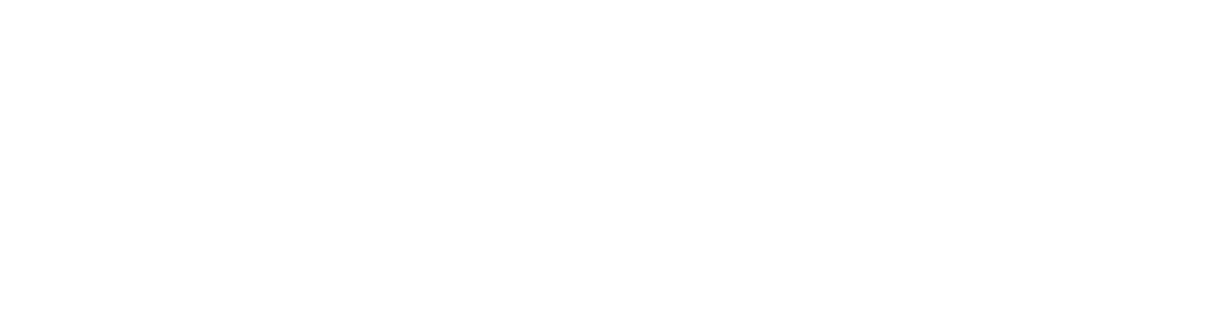 DEEPSPEED logo white